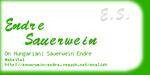 endre sauerwein business card